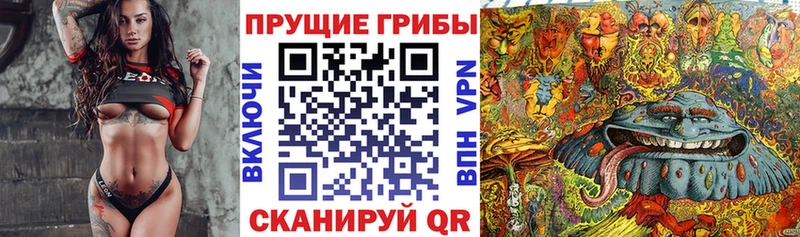 Галлюциногенные грибы прущие грибы  Рязань 