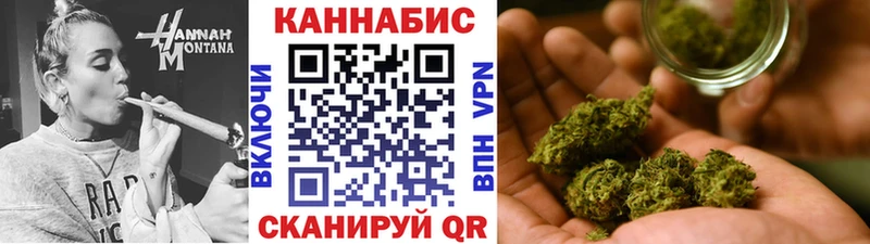 Бошки Шишки SATIVA & INDICA  купить наркоту  Рязань 